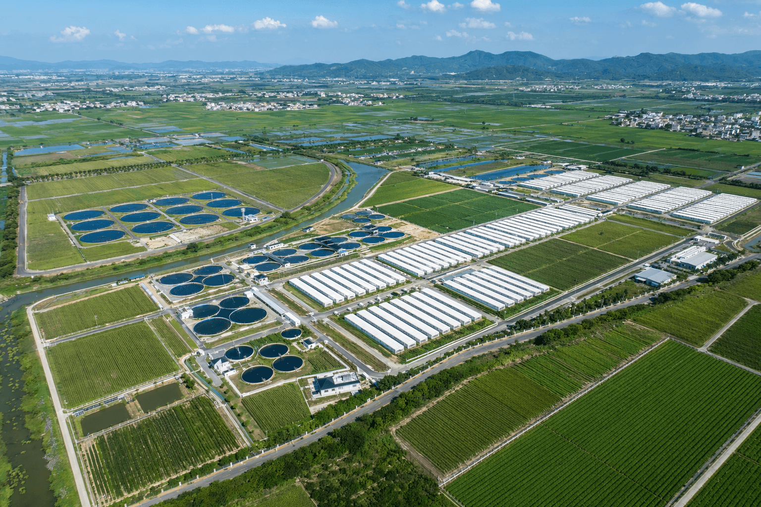 天美农业广东循环农业园航拍场景，展示基地分区与合作沟通能力